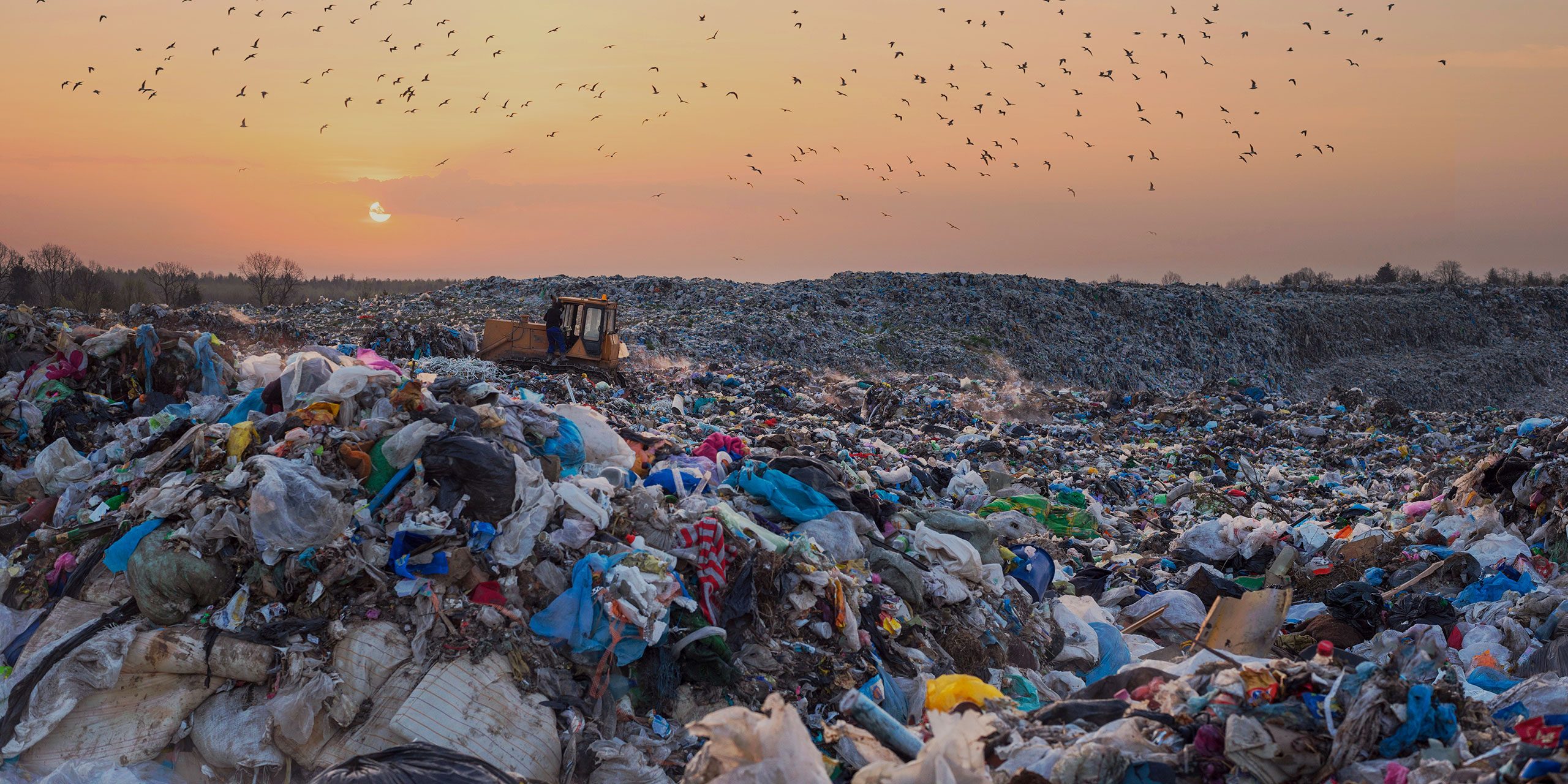 The Circular Economy