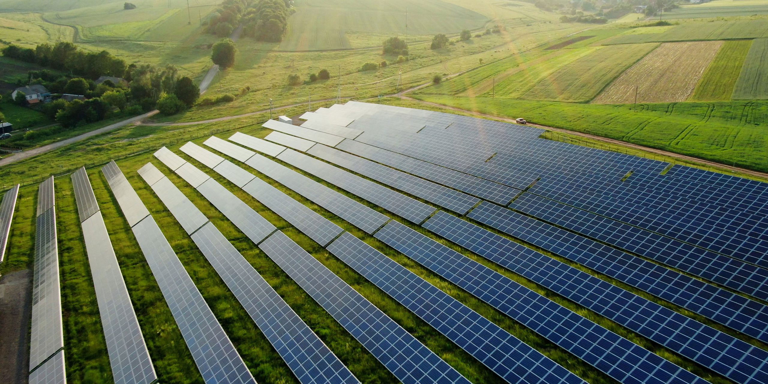 The Path to Net Zero